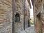 Immagine 12