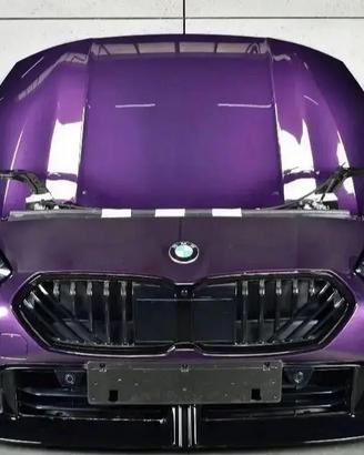 BMW 1 F70 Musata Proiettori Radiatori Paraurti Cof