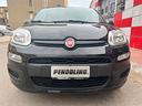 fiat-panda-1-2-young
