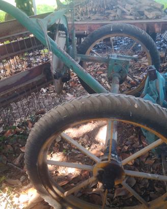 Ranghinatore e voltafieno