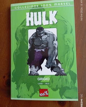 Hulk - Grigio