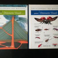 DIZIONARIO VISUALE