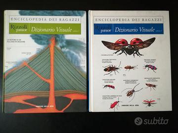 DIZIONARIO VISUALE