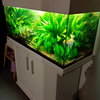 Acquario EHEIM 150 litri