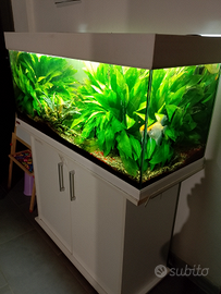 Acquario EHEIM 150 litri