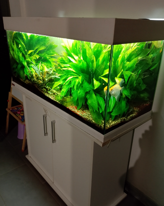 Acquario EHEIM 150 litri