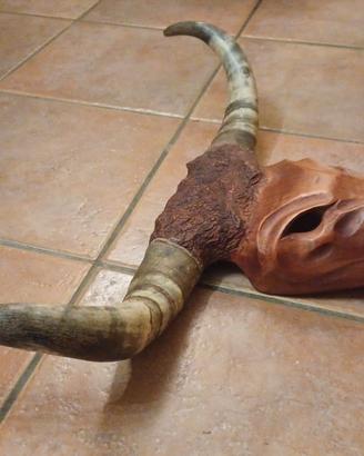 maschera sarda 