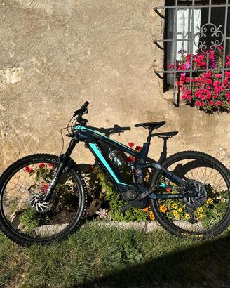 bici elettrica 