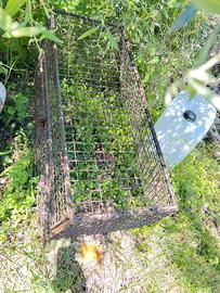 Cassetta per trasporto cani auto utilitaria