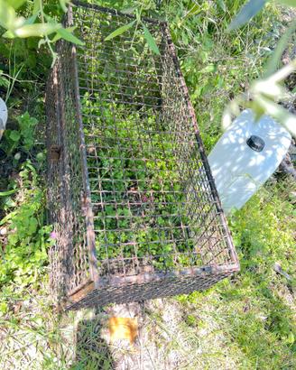 Cassetta per trasporto cani auto utilitaria