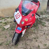 Honda CBR 600RR 2005 pronto pista