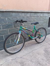mtb ruota 24