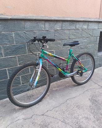 mtb ruota 24
