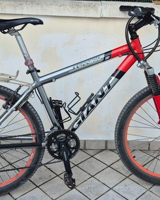 MTB Giant Terrago