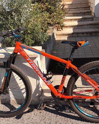 bicicletta torpado 