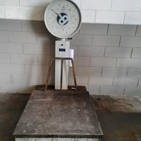 Bilancia polacco da 600kg