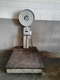 Bilancia polacco da 600kg