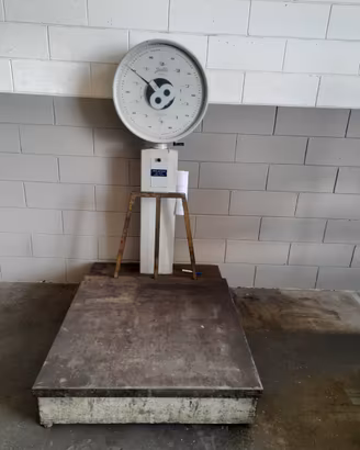 Bilancia polacco da 600kg