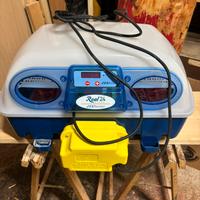 INCUBATRICE UOVA BOROTTO REAL 24