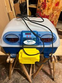 INCUBATRICE UOVA BOROTTO REAL 24