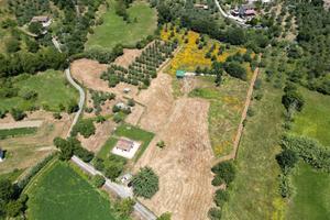 Terreno Agricolo Anagni [Cod. rif 3161948VRG]