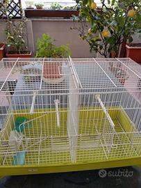 gabbia