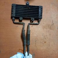 Radiatore olio Kawasaki ZR-7 1999-2004