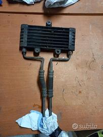 Radiatore olio Kawasaki ZR-7 1999-2004