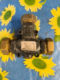 Valvola anticondensa Esbe