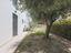 Immagine 23