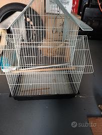 gabbia per pappagalli 