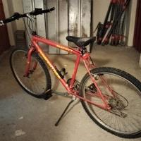 BICICLETTA UOMO