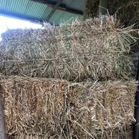 Paglia e fieno