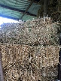 Paglia e fieno