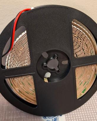 Striscia LED da 5mt ad alta luminosità 29W/mt
