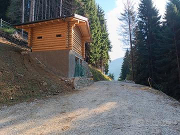 Baita al grezzo con bosco