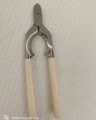 pinza per Champagne e crostacei 