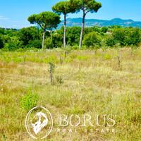 Terreno Agricolo - Sessa Aurunca