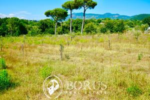 Terreno Agricolo - Sessa Aurunca