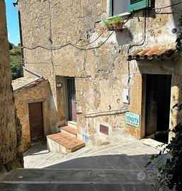 MONOLOCALE A ISCHIA DI CASTRO