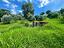 Immagine 19