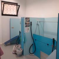 2 postazioni lavaggio cani Self-Service