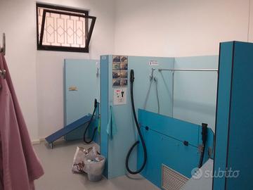 2 postazioni lavaggio cani Self-Service