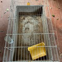 Gabbia per conigli