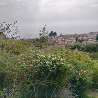 Terreno - Aci Castello