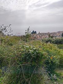 Terreno - Aci Castello
