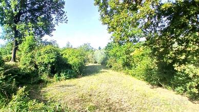 Terreno con rudere a Paliano