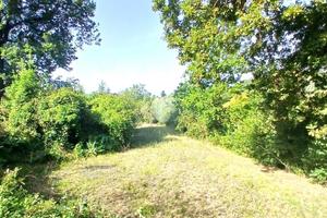 Terreno con rudere a Paliano