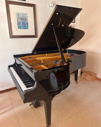 Pianoforte Bluthner