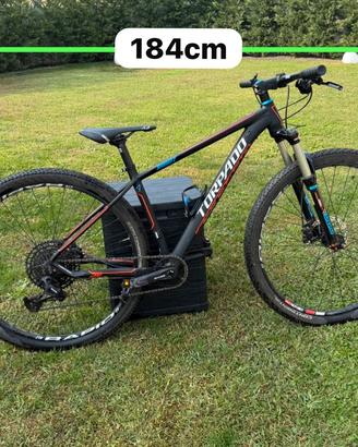 Mountain bike Torpado Ribot A